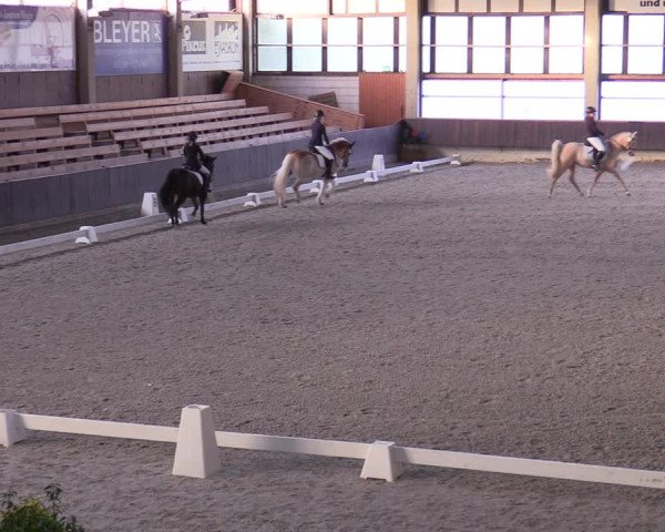 Hallennachwuchsturnier Herford 2022