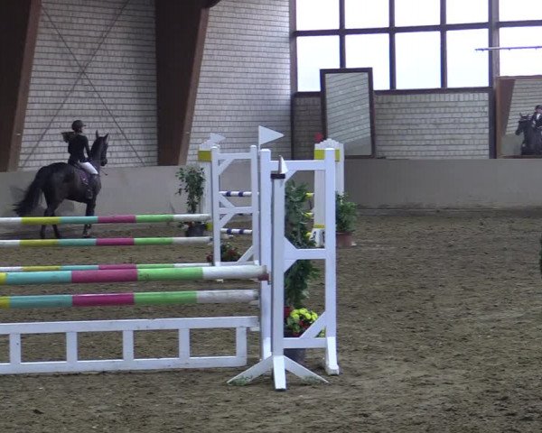 Spring- und Dressur Late Entry Kamen 2022