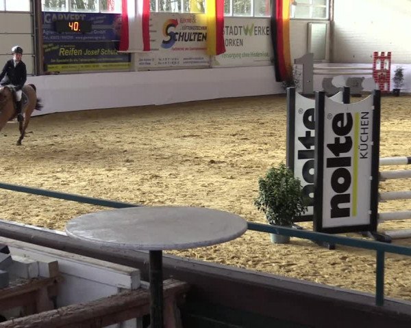 Springturnier Borken 2022