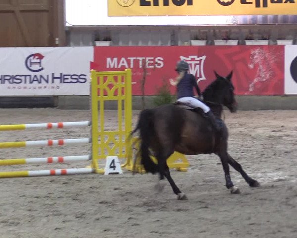 9. Nordic Jumping Event in Negernbötel 2022