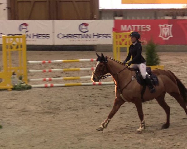 9. Nordic Jumping Event in Negernbötel 2022