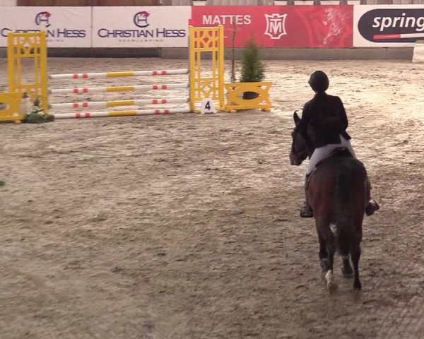 9. Nordic Jumping Event in Negernbötel 2022