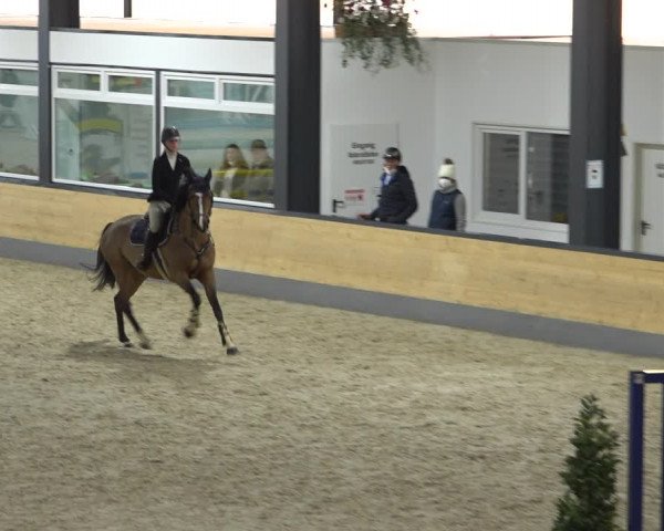 Reitturnier Borken 2022