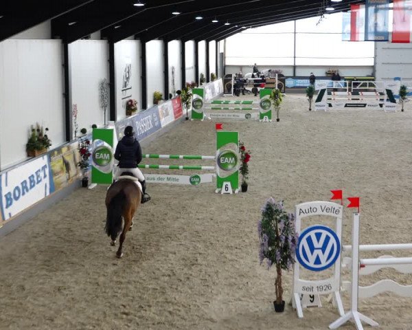 Reitturnier Borken 2022