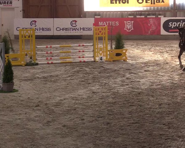 9. Nordic Jumping Event in Negernbötel 2022