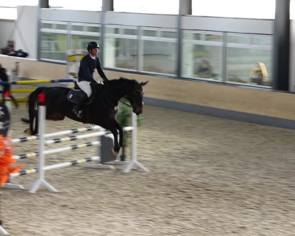 Reitturnier Borken 2022