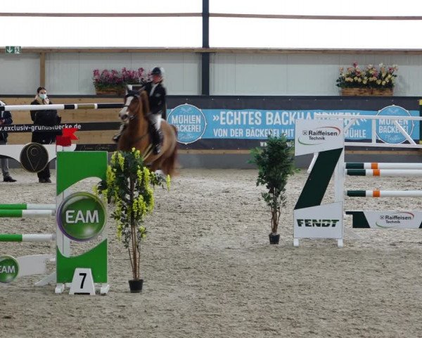 Reitturnier Borken 2022