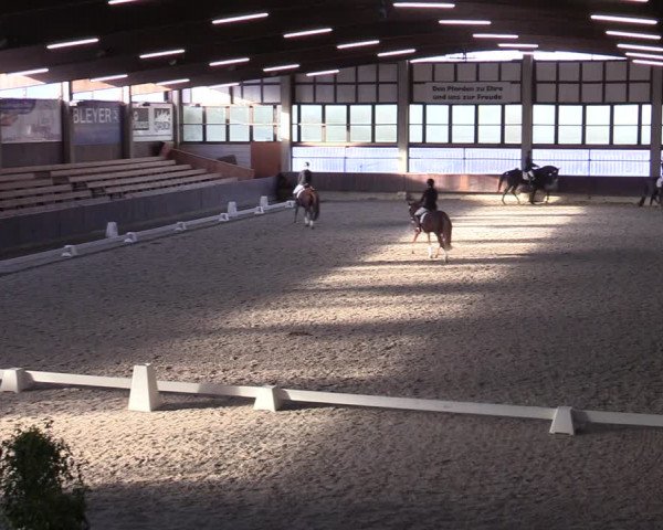 Hallennachwuchsturnier Herford 2022