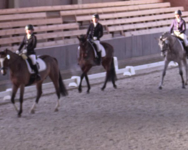 Hallennachwuchsturnier Herford 2022