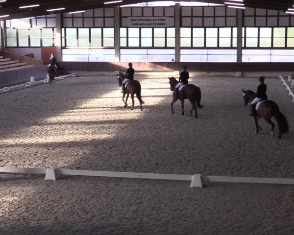 Hallennachwuchsturnier Herford 2022