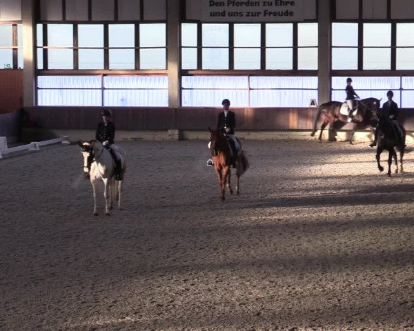 Hallennachwuchsturnier Herford 2022