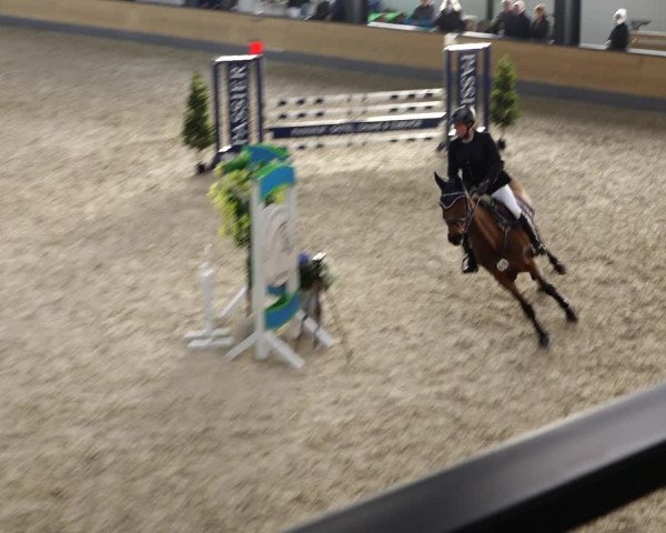Reitturnier Borken 2022