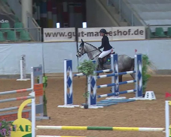 Springturnier Kreuth 2022