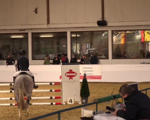 Springturnier Borken 2022