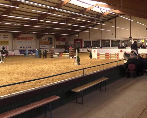 Springturnier Borken 2022