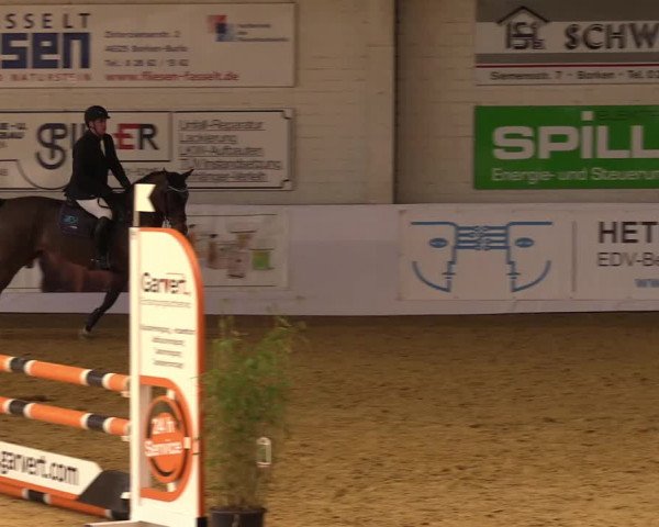 Springturnier Borken 2022