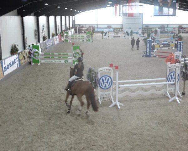 Reitturnier Borken 2022
