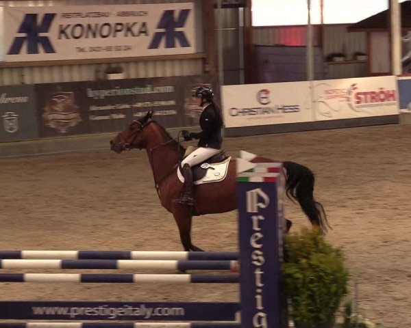 9. Nordic Jumping Event in Negernbötel 2022
