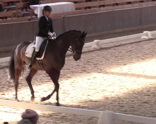 Hallennachwuchsturnier Herford 2022