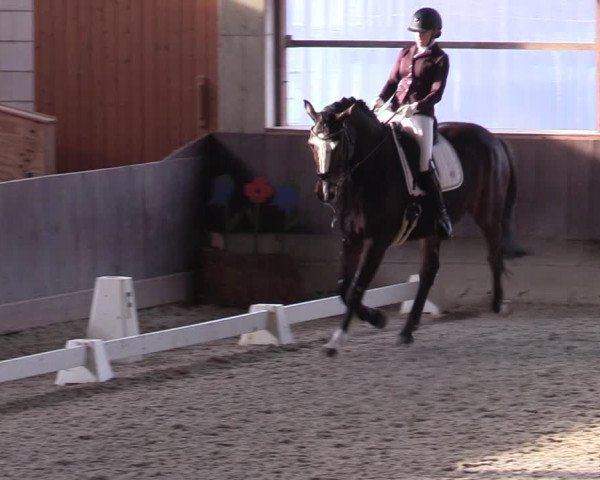 Hallennachwuchsturnier Herford 2022