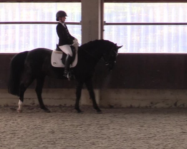 Hallennachwuchsturnier Herford 2022