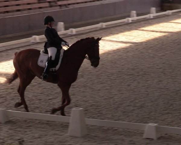 Hallennachwuchsturnier Herford 2022