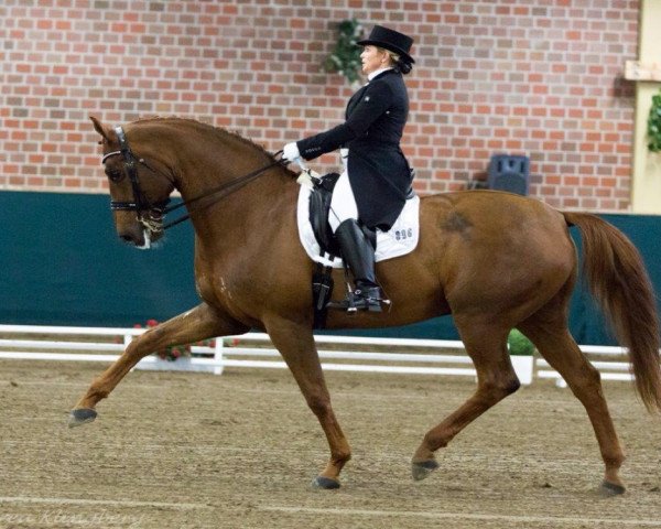 dressage horse Affinity (Rhinelander, 2004, from Abanos)