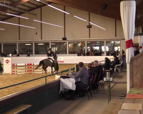 Springturnier Borken 2022