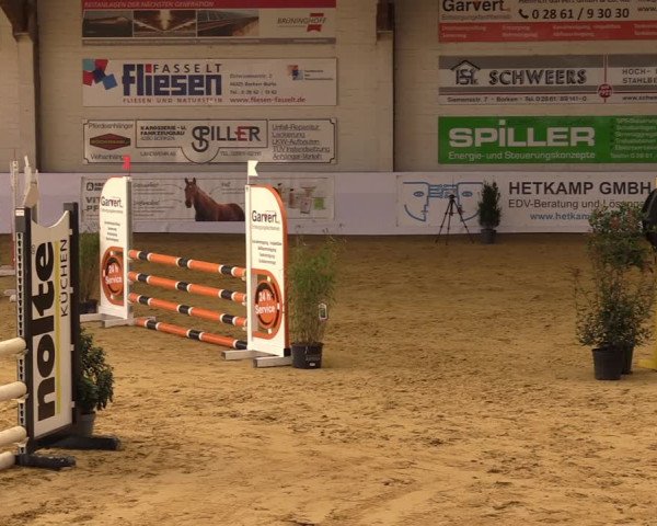 Springturnier Borken 2022
