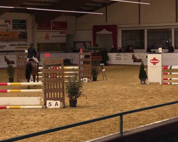 Springturnier Borken 2022