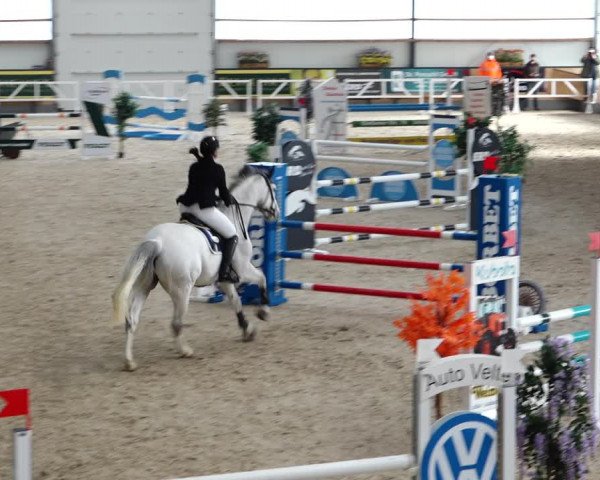 Reitturnier Borken 2022