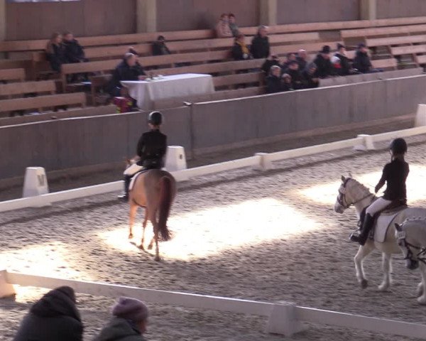 Hallennachwuchsturnier Herford 2022