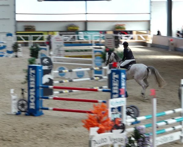 Reitturnier Borken 2022