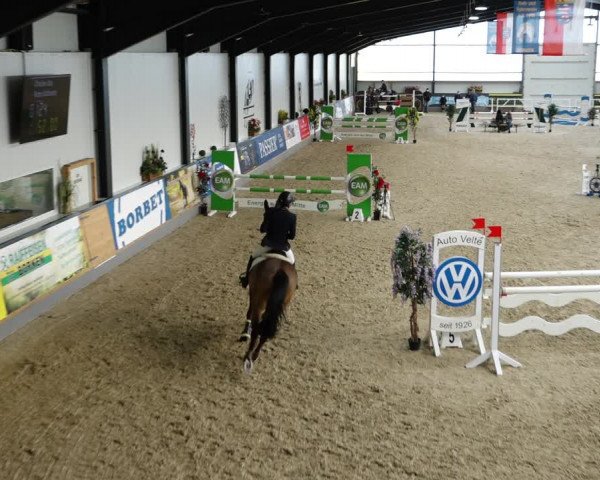 Reitturnier Borken 2022