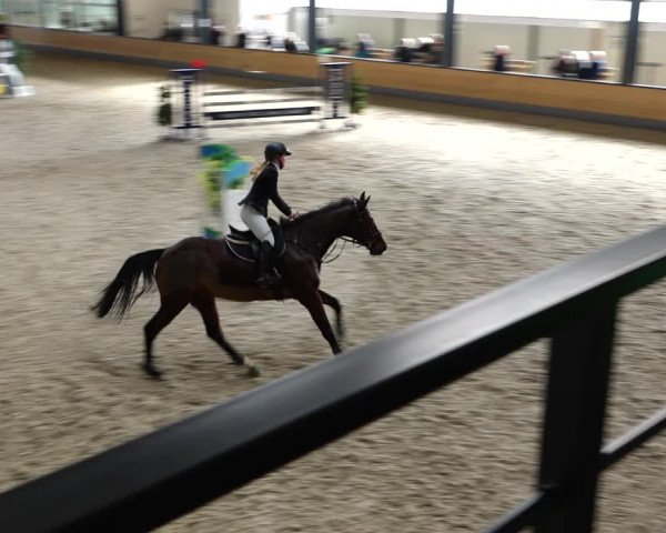 Reitturnier Borken 2022