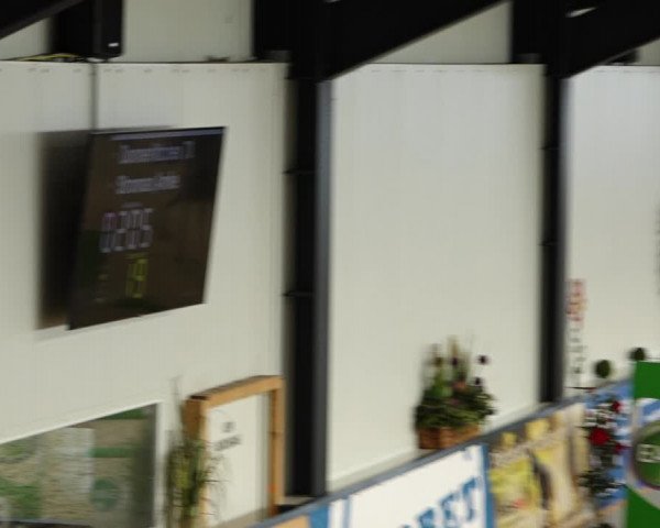 Reitturnier Borken 2022