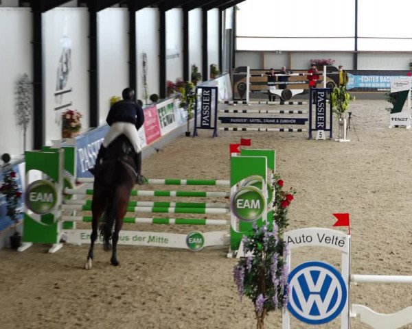 Reitturnier Borken 2022