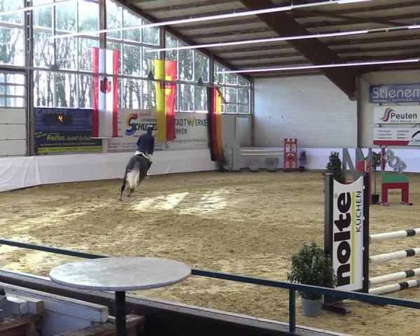 Springturnier Borken 2022