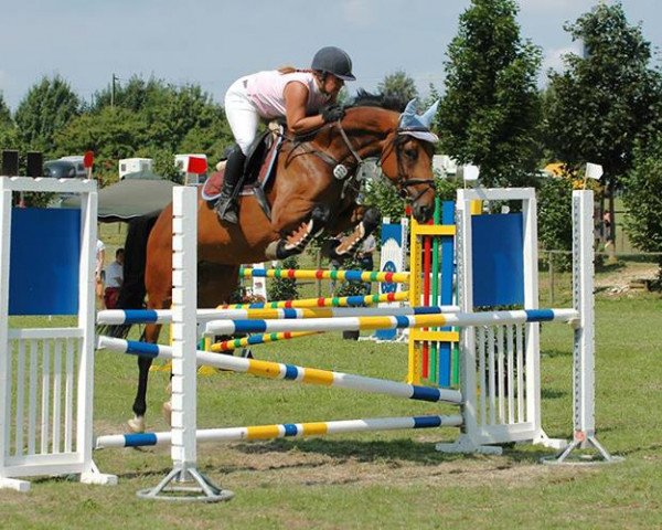 Pferd Ratjada Rubin (Oldenburger, 2008, von Rubin Royal OLD)