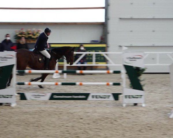 Reitturnier Borken 2022