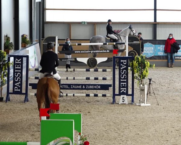 Reitturnier Borken 2022