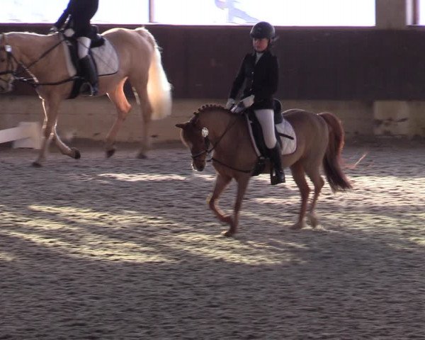 Hallennachwuchsturnier Herford 2022