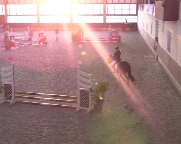 Hallennachwuchsturnier Herford 2022