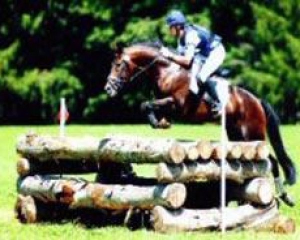 stallion Kaiserwalzer (Trakehner, 1996, from Consul) stallion Kaiserwalzer (Trakehner, 1996, from Consul)