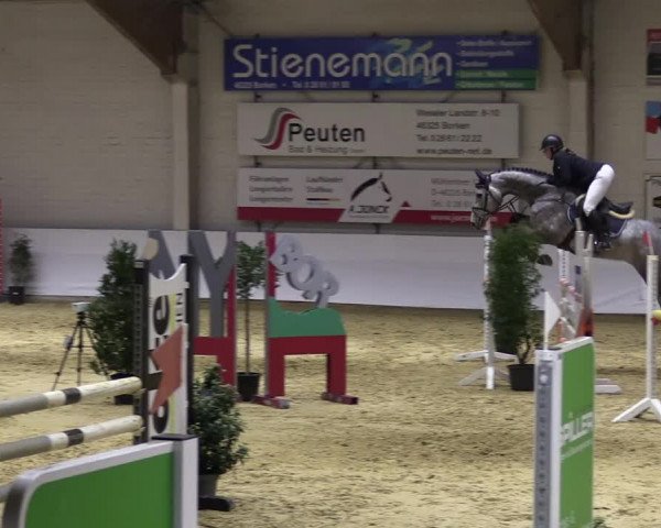 Springturnier Borken 2022