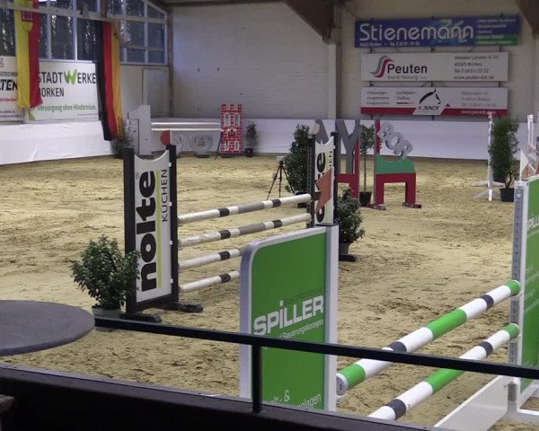 Springturnier Borken 2022