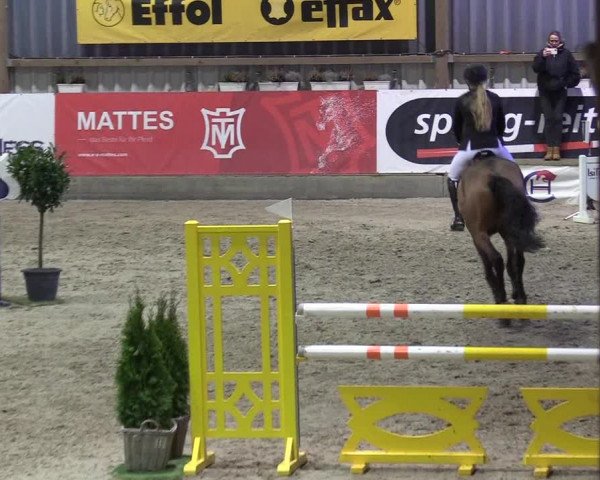 9. Nordic Jumping Event in Negernbötel 2022