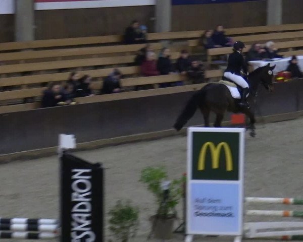 Hallennachwuchsturnier Herford 2022