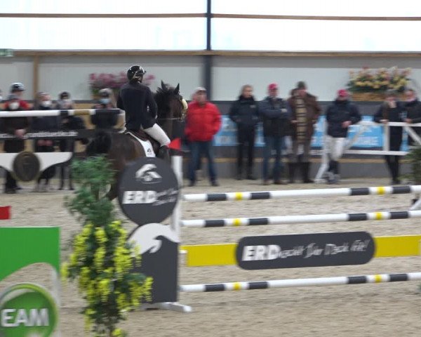 Reitturnier Borken 2022