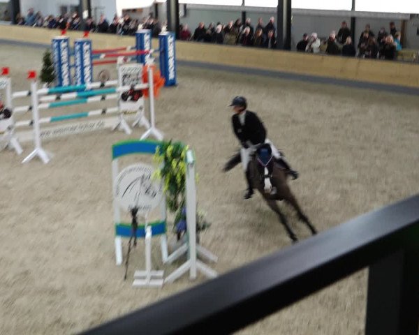 Reitturnier Borken 2022